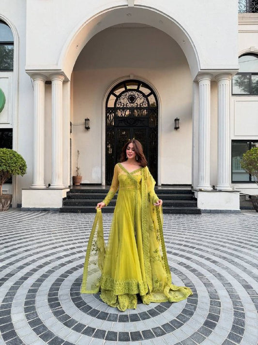 Lime Elegance Embroidered Net Kediya style Anarkali Set