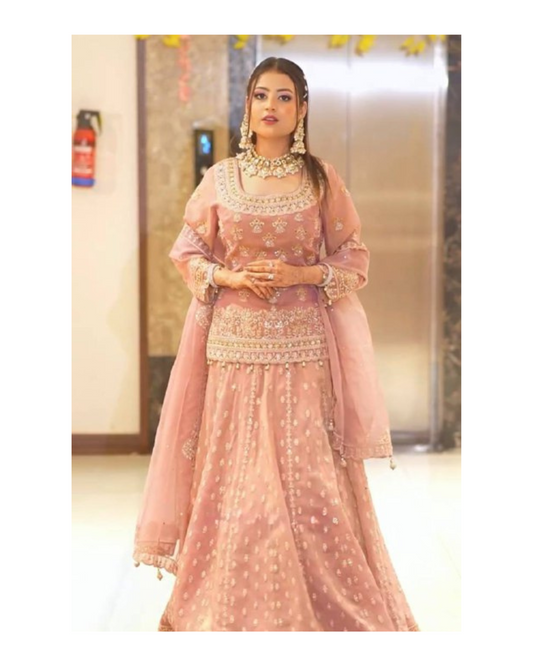Lavish Blush pink  Heavy Embroidery  Gharara Set