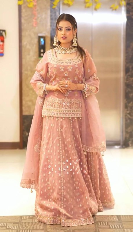 Lavish Blush pink  Heavy Embroidery  Gharara Set