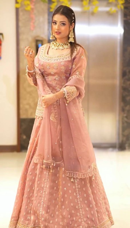 Lavish Blush pink  Heavy Embroidery  Gharara Set