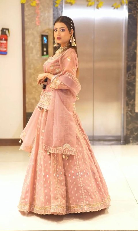 Lavish Blush pink  Heavy Embroidery  Gharara Set