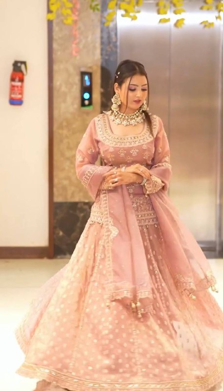 Lavish Blush pink  Heavy Embroidery  Gharara Set