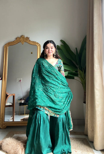 Mandira Sharara Set